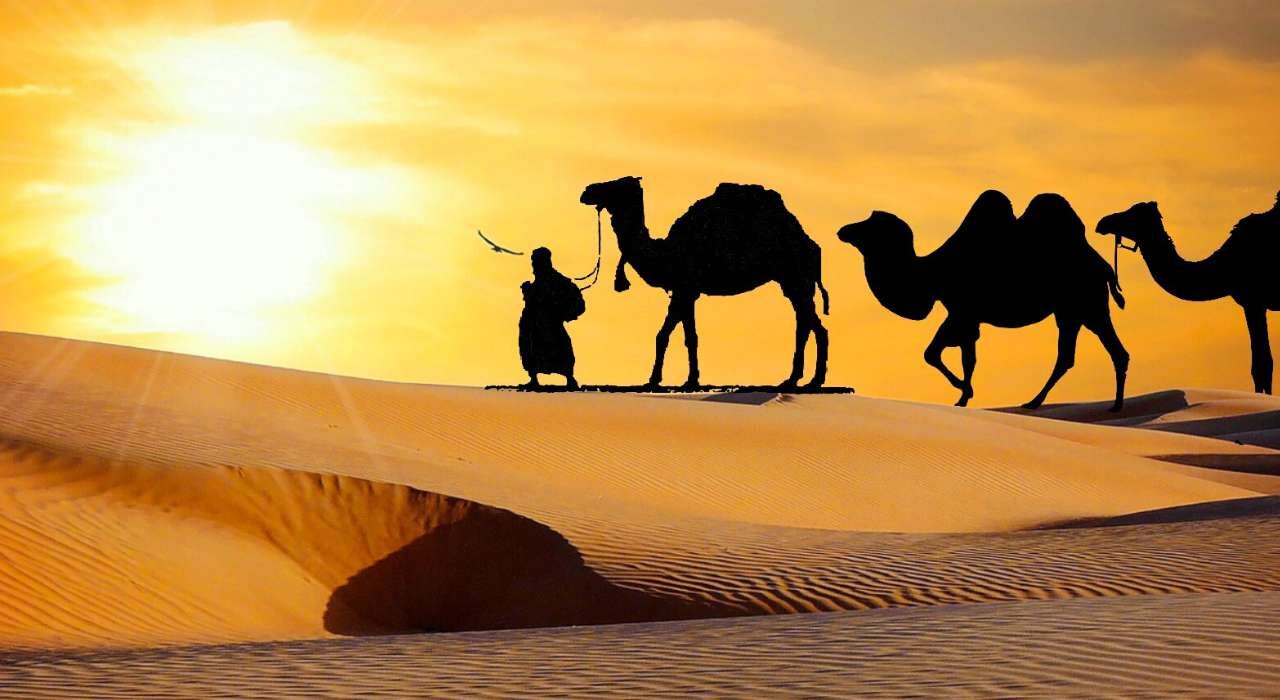 Camel safari in Jaisalmer sand dunes during a 4 Days Rajasthan Desert Tour at sunset