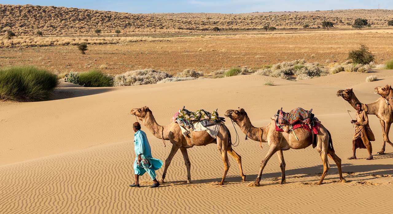 Best of Rajasthan tour showing Jaipur, Udaipur, and Jodhpur landmarks