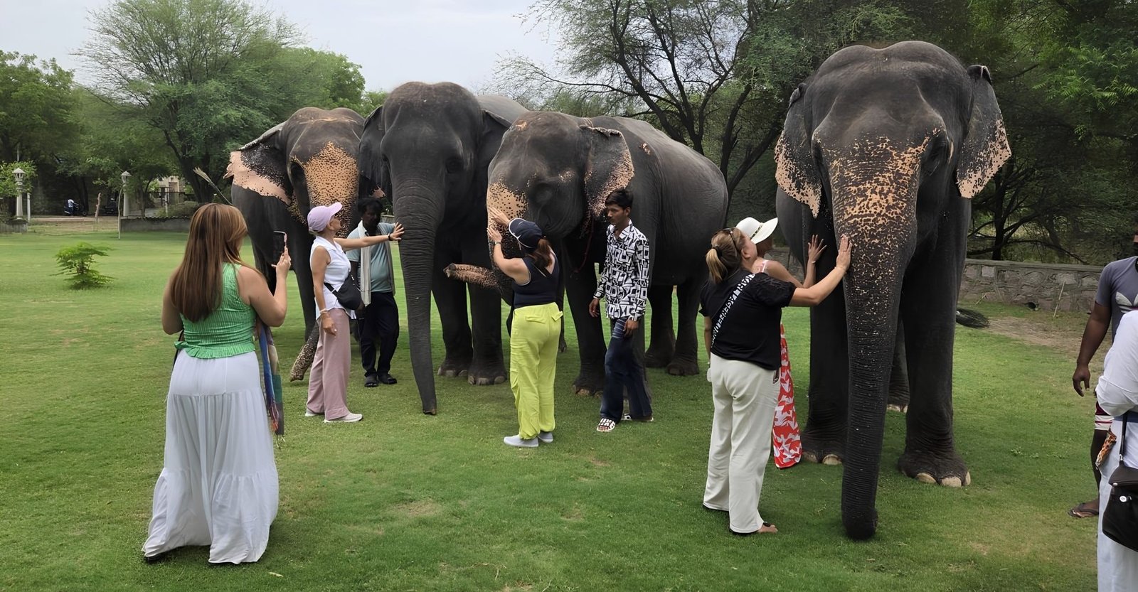Golden Triangle Tour 6 Days
